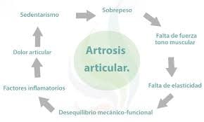 artrosis articular
